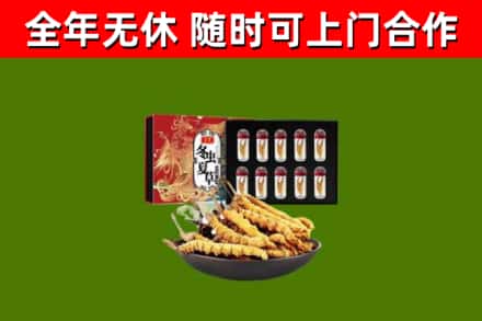 师宗县烟酒回收冬虫夏草礼盒.jpg
